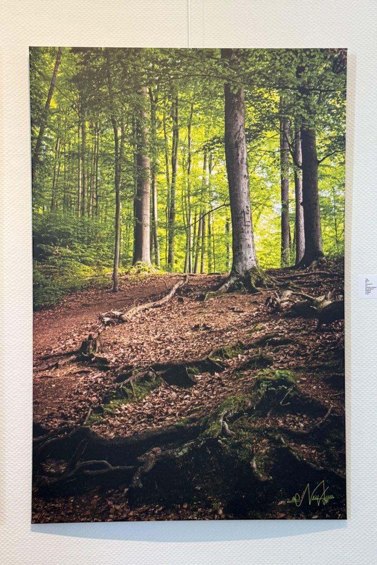 Im Herzen der Natur