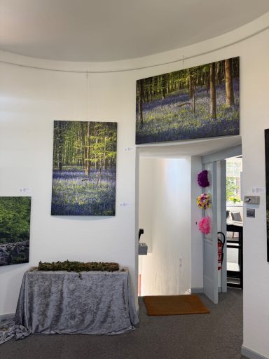 Im Waldzimmer