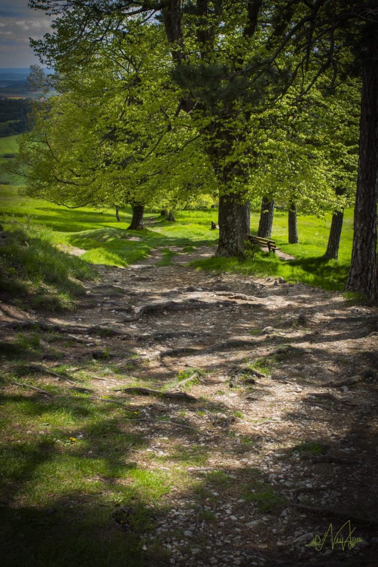 Im Herzen der Natur