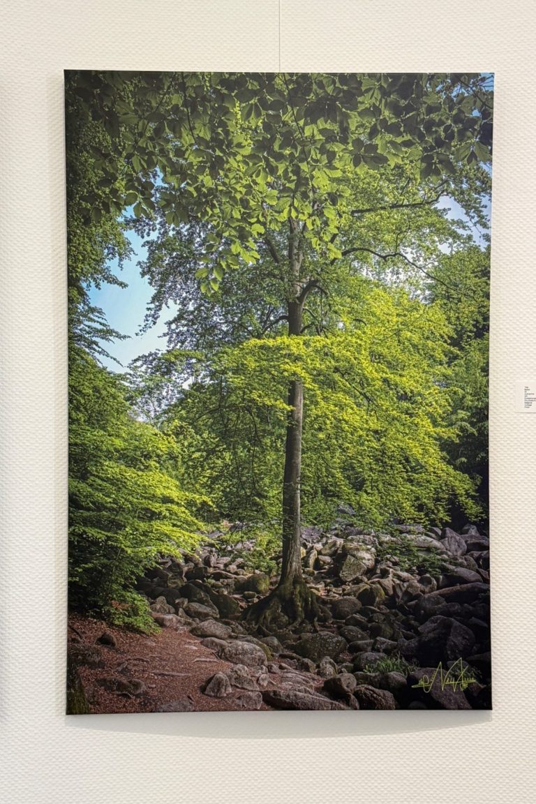 Im Herzen der Natur