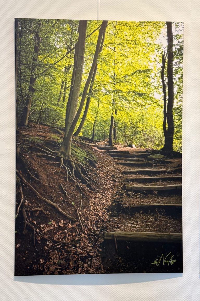 Im Herzen der Natur