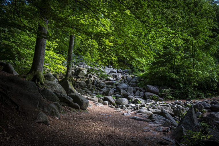 Im Herzen der Natur