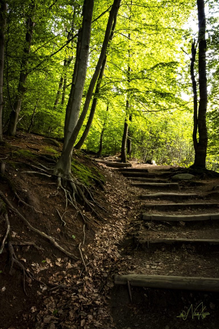 Im Herzen der Natur