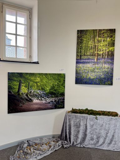 Im Waldzimmer