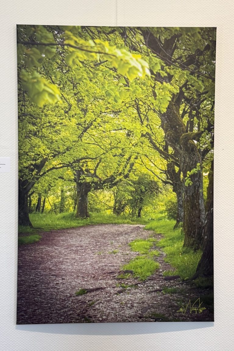 Im Herzen der Natur